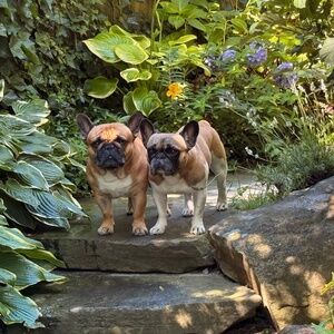 Meet your Posher, Octavia